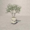 Sculptural Nature Collection Living form