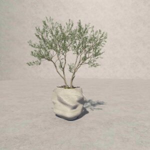 Sculptural Nature Collection Living form