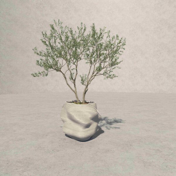 Sculptural Nature Collection Living form