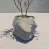 Sculptural Nature Collection Living form